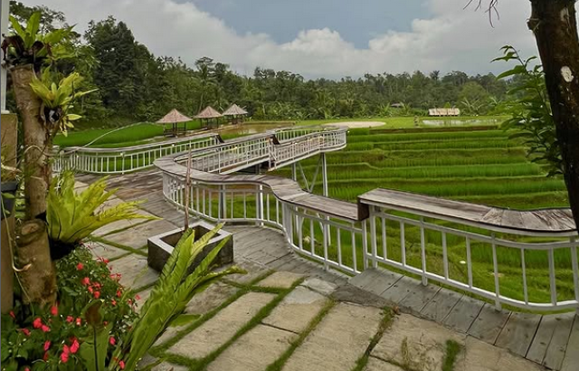 Jatiluwih Eco Farm